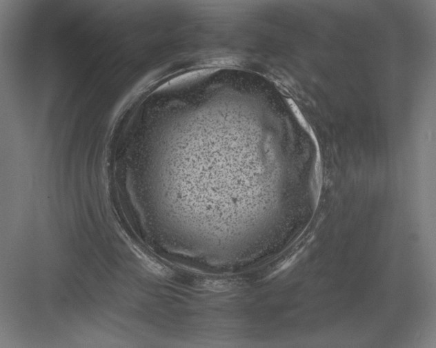 X0000082990341200702160029