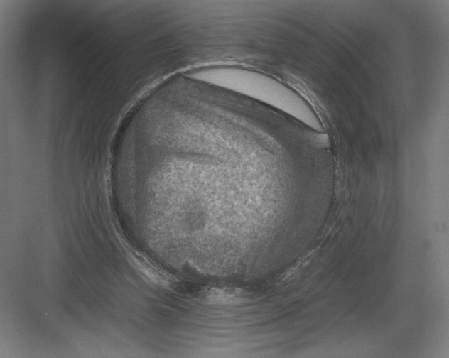 X0000082990346200702160029