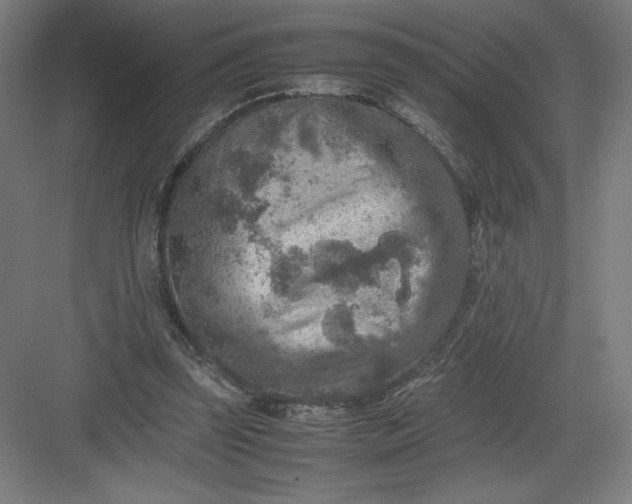 X0000082990347200702160029