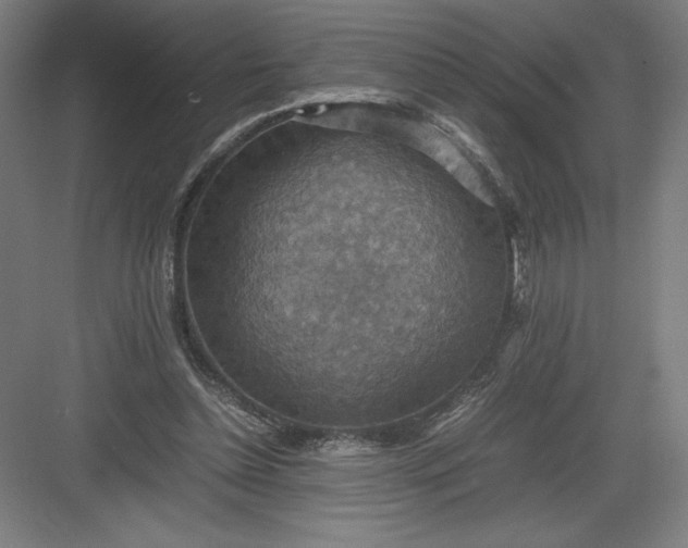 X0000082990348200702160029