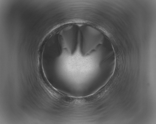 X0000082990350200702160029