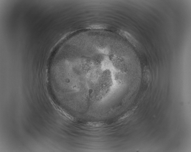 X0000082990351200702160029