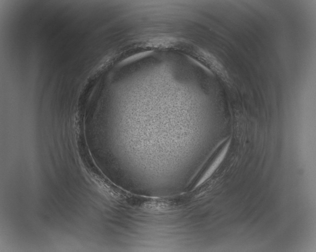 X0000082990354200702160029