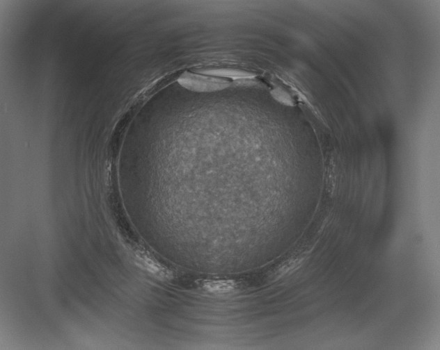 X0000082990355200702160029