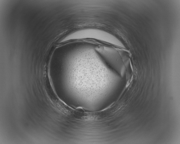 X0000082990356200702160029