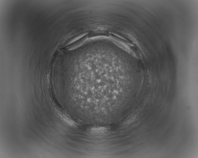 X0000082990357200702160029