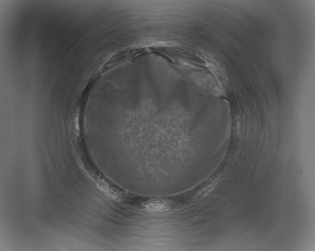 X0000082990358200702160029