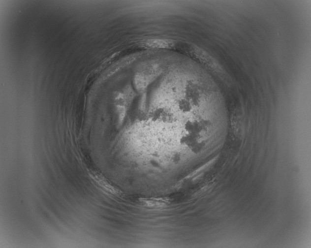 X0000082990359200702160029