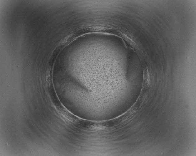 X0000082990360200702160029