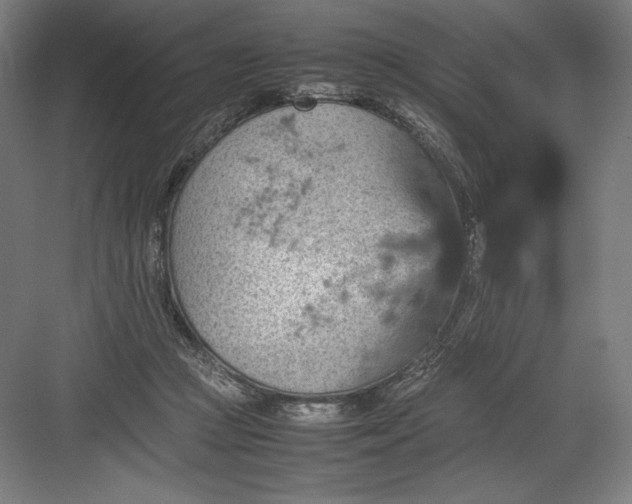 X0000082990361200702160029