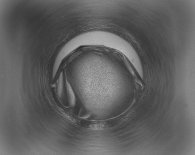 X0000082990362200702160029