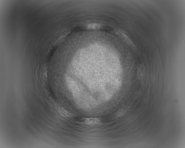 X0000082990363200702160029