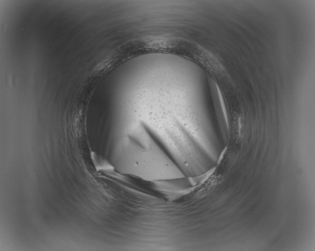 X0000082990364200702160029