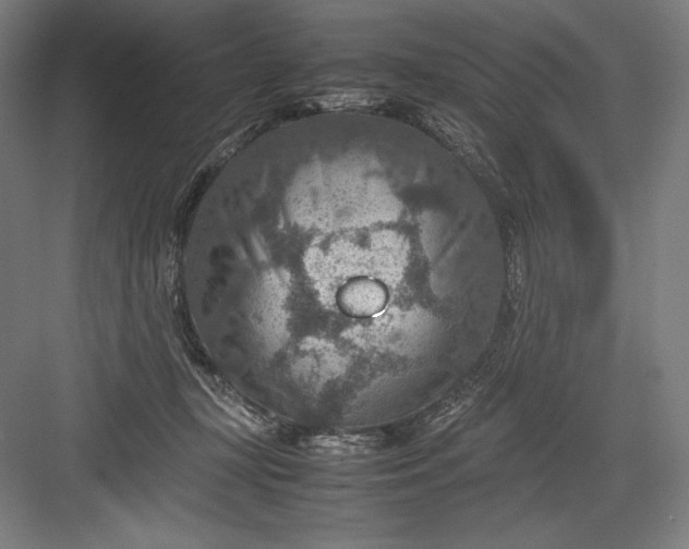 X0000082990367200702160030