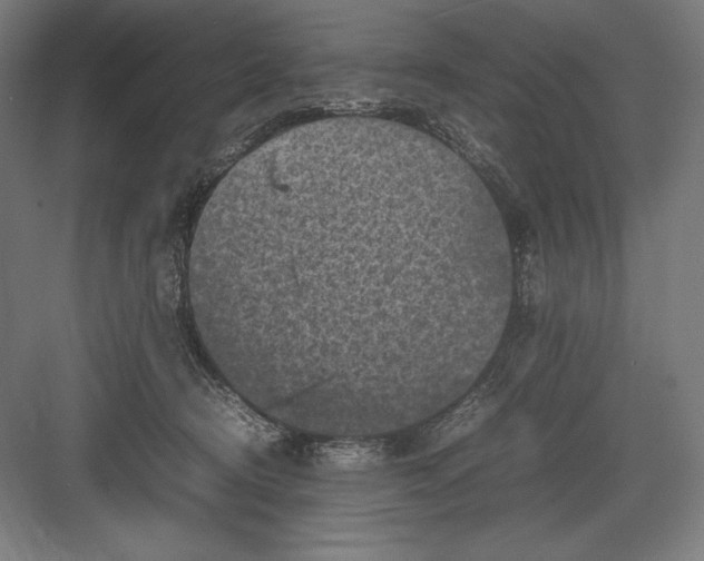 X0000082990370200702160030