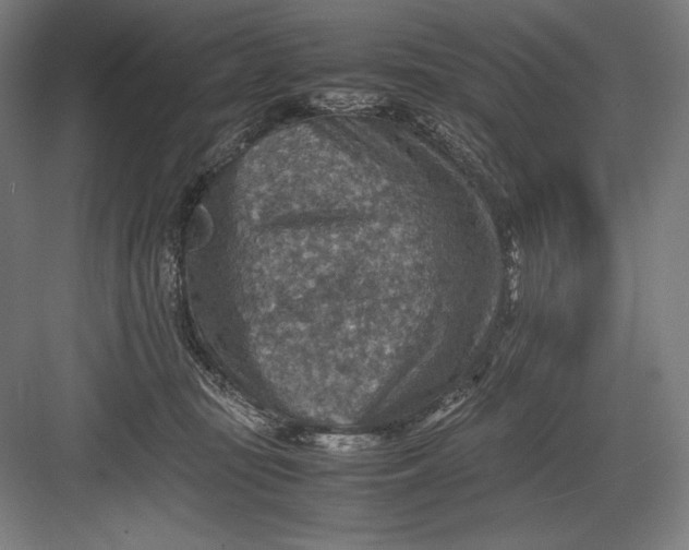 X0000082990371200702160030