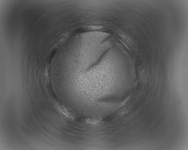 X0000082990373200702160030