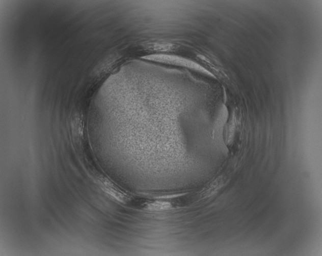 X0000082990374200702160030