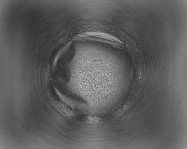 X0000082990376200702160030