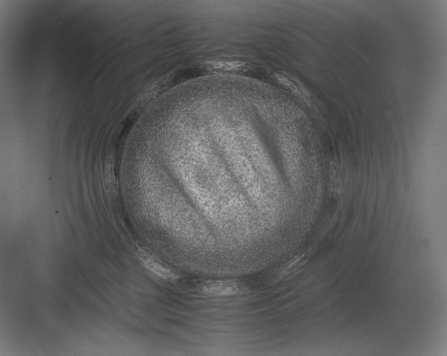 X0000082990377200702160030