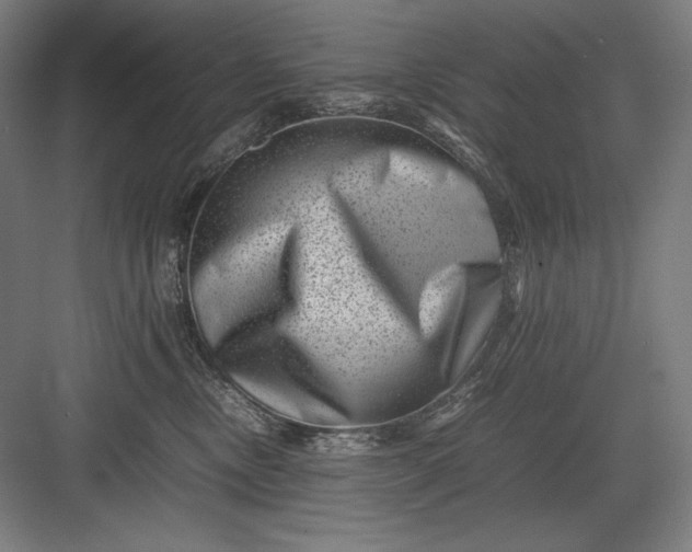 X0000082990378200702160030