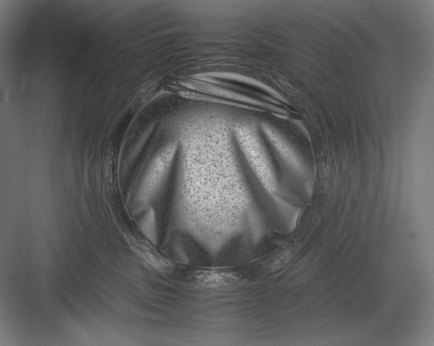 X0000082990379200702160030