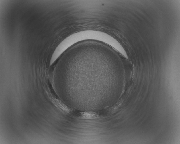 X0000082990380200702160030