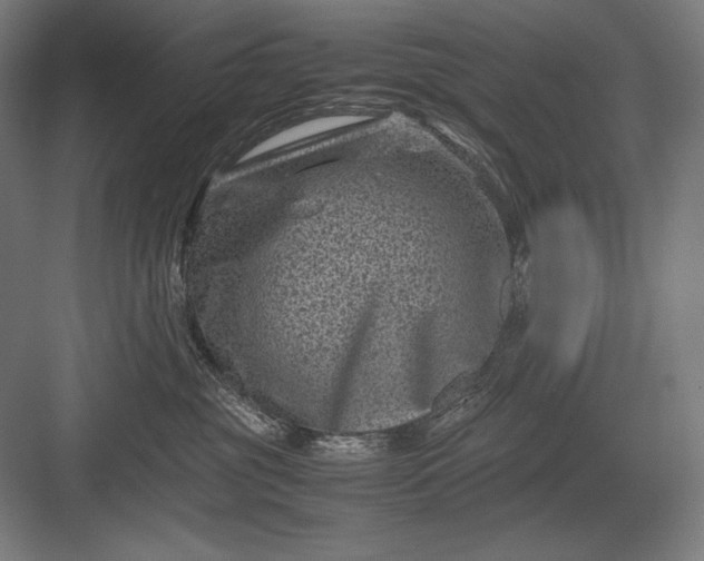 X0000082990381200702160030