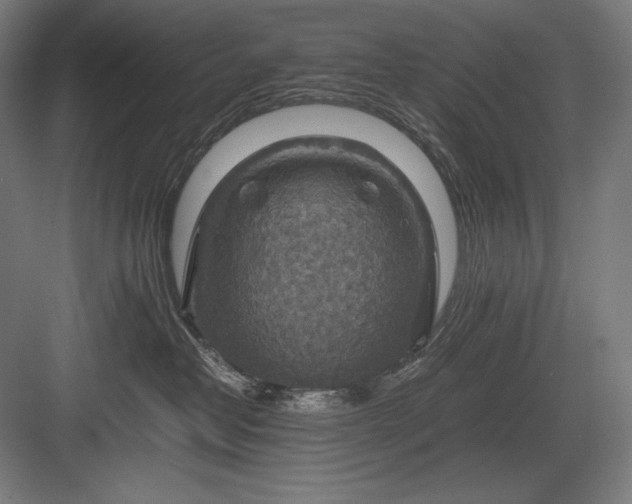 X0000082990382200702160030