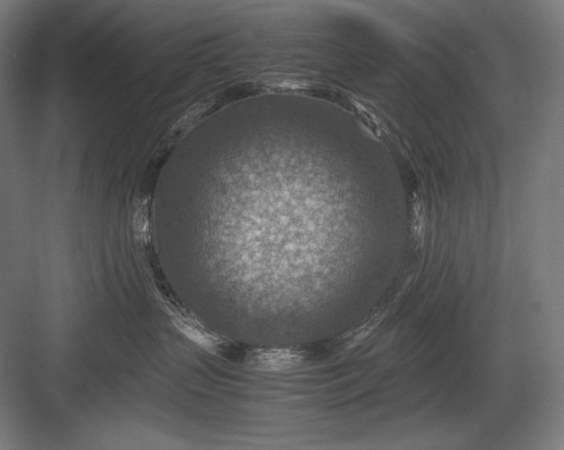 X0000082990383200702160030