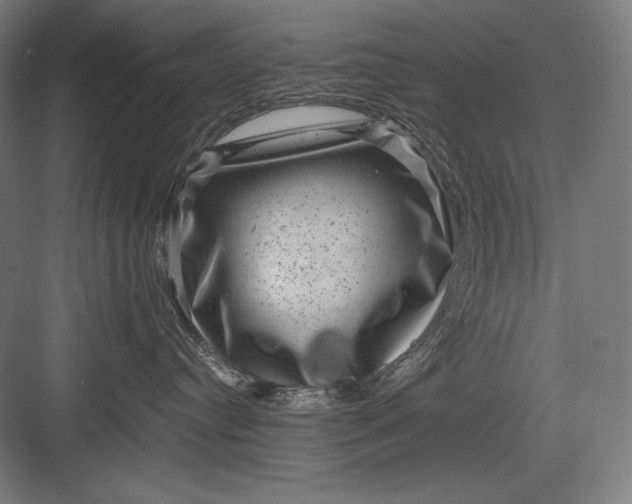 X0000082990384200702160030