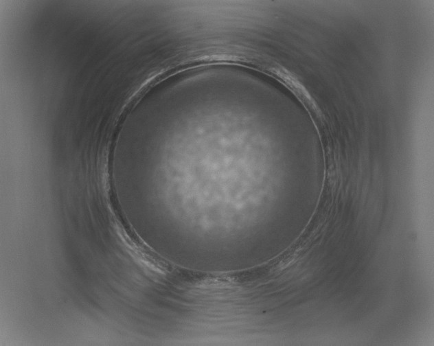 X0000082990386200702160029