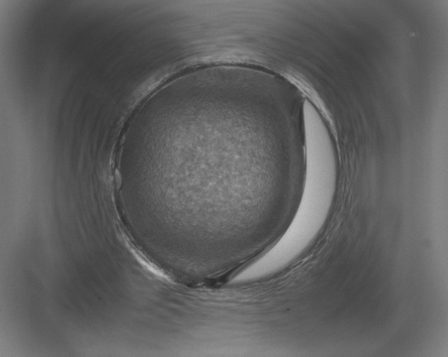 X0000082990389200702160029