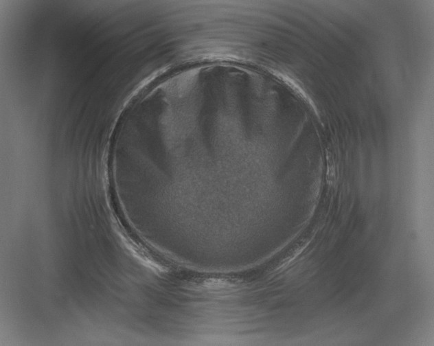 X0000082990390200702160029