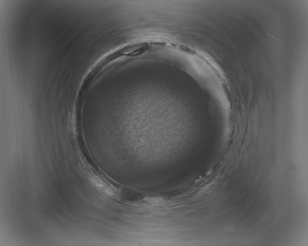 X0000082990391200702160029