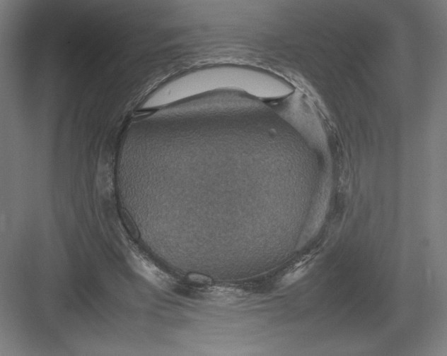 X0000082990393200702160029