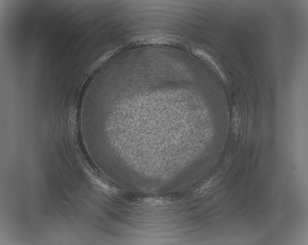 X0000082990394200702160029