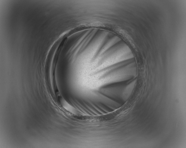 X0000082990395200702160029