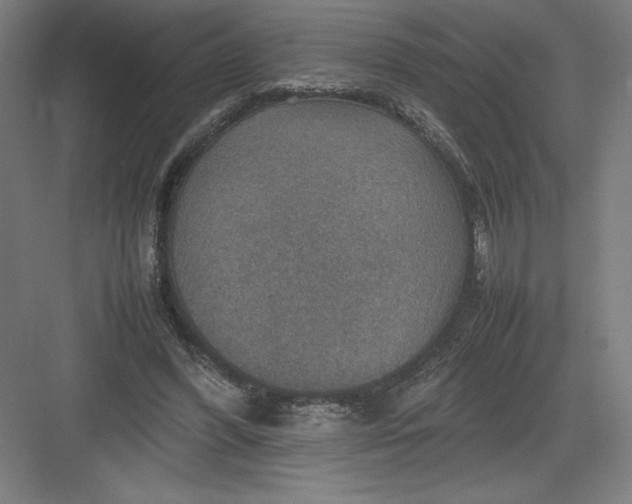 X0000082990396200702160029