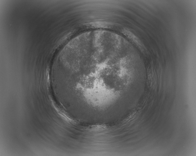 X0000082990398200702160029