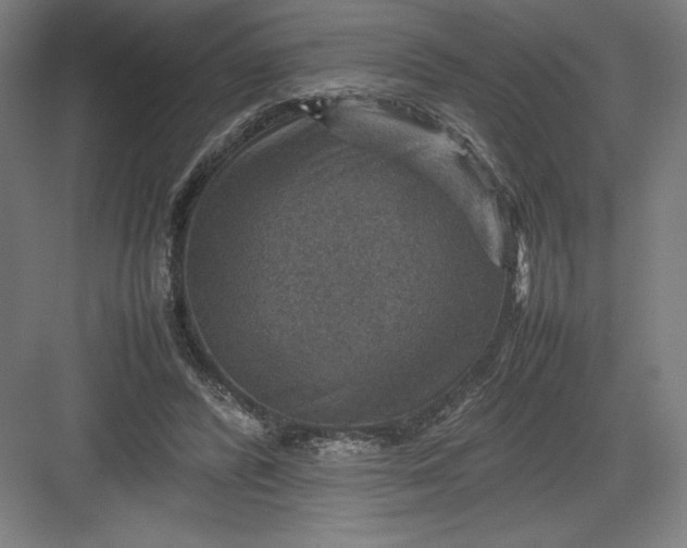 X0000082990400200702160029