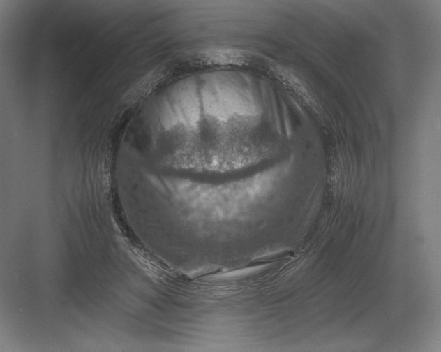 X0000082990402200702160029