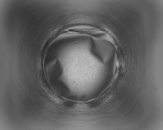 X0000082990403200702160029