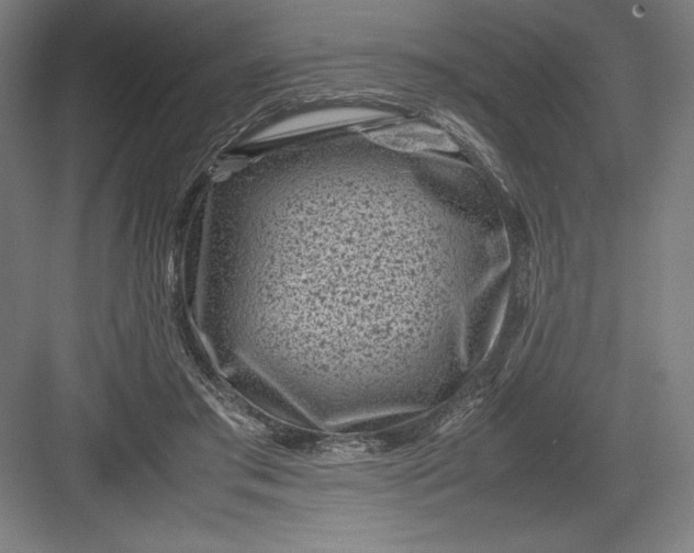 X0000082990405200702160029