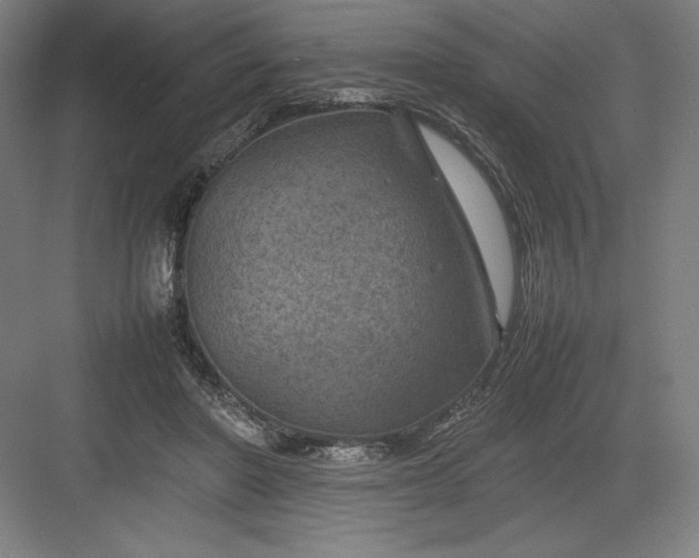 X0000082990406200702160029