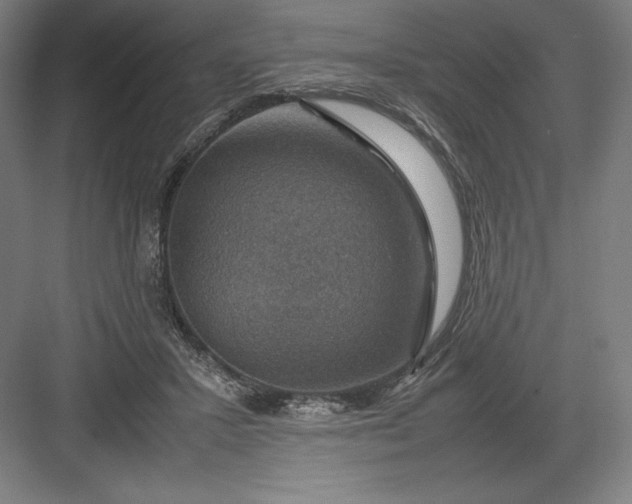 X0000082990407200702160029