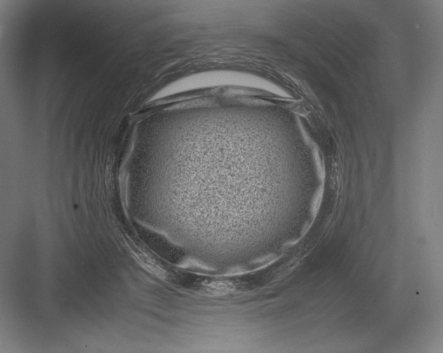 X0000082990409200702160029