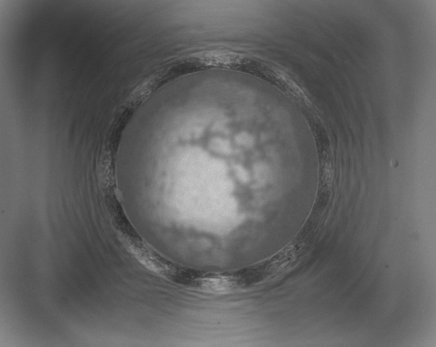 X0000082990411200702160029