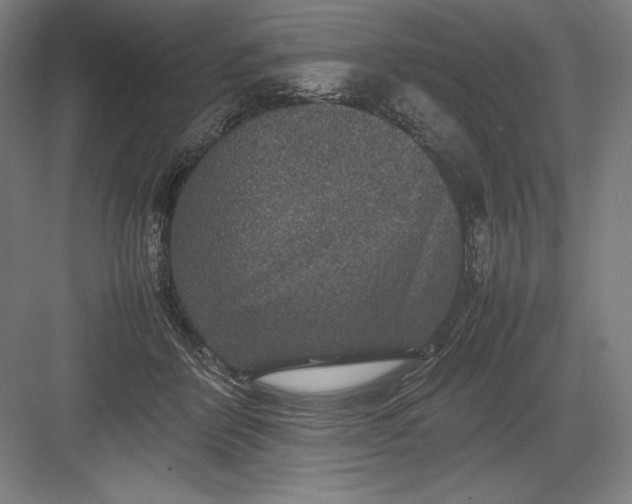 X0000082990412200702160029