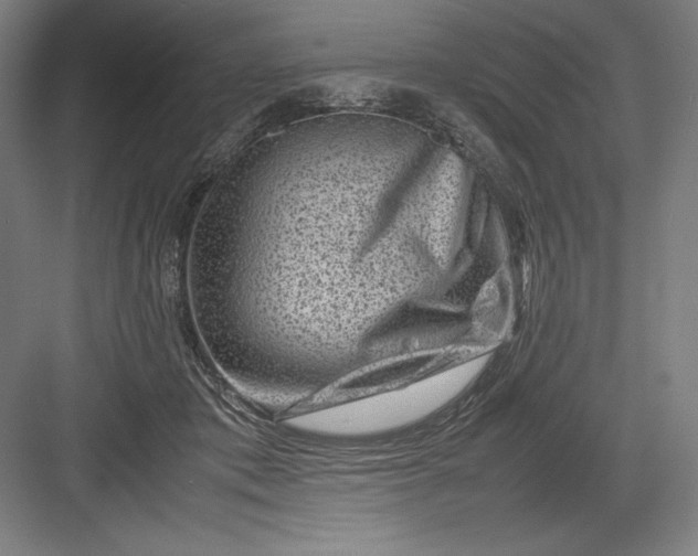 X0000082990413200702160029